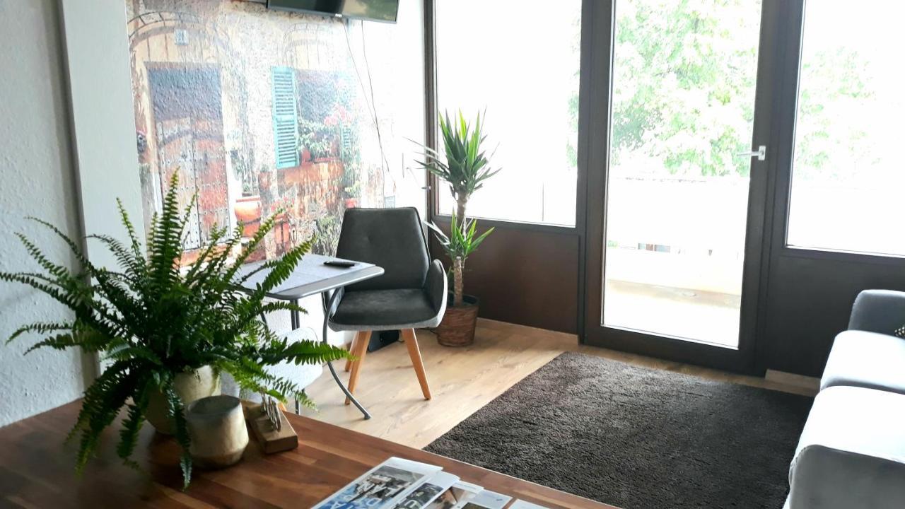 Apartment Panorama 施韦因福特 外观 照片