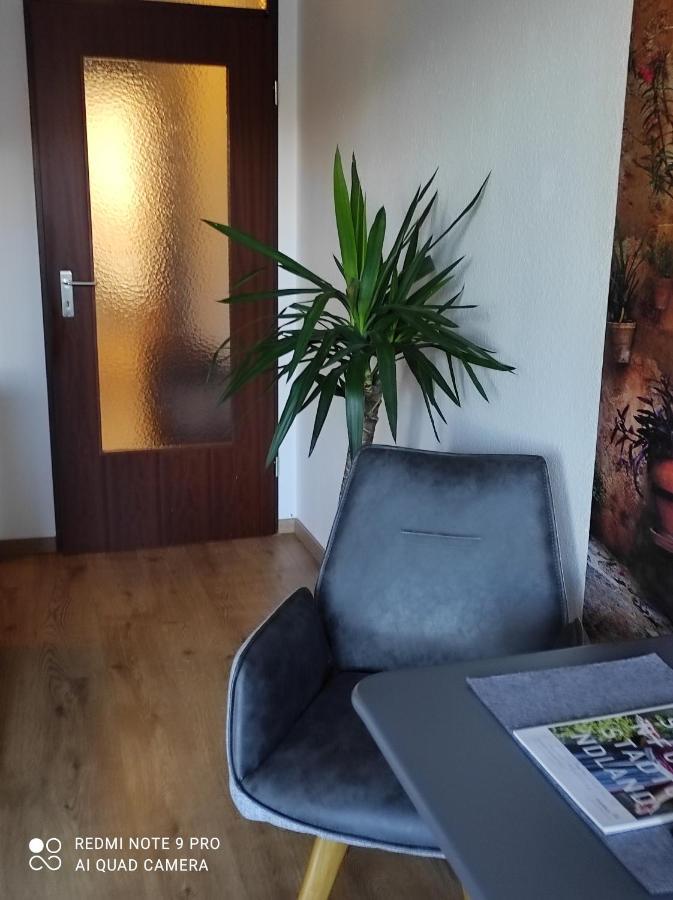 Apartment Panorama 施韦因福特 外观 照片