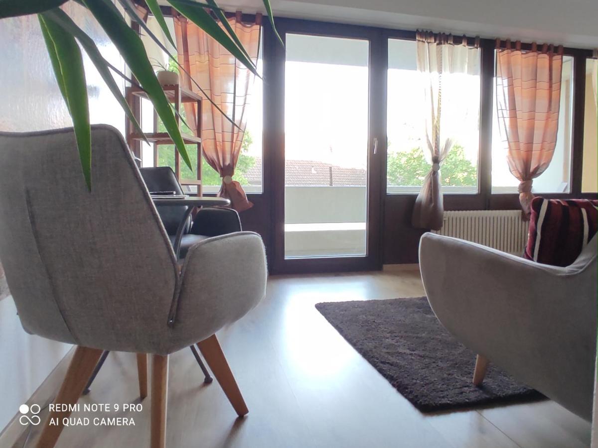 Apartment Panorama 施韦因福特 外观 照片