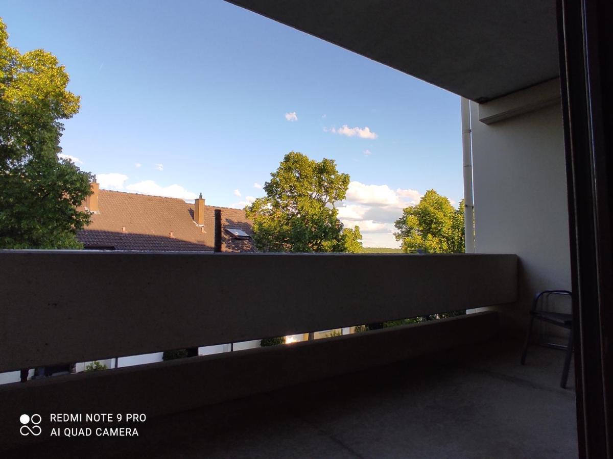 Apartment Panorama 施韦因福特 外观 照片