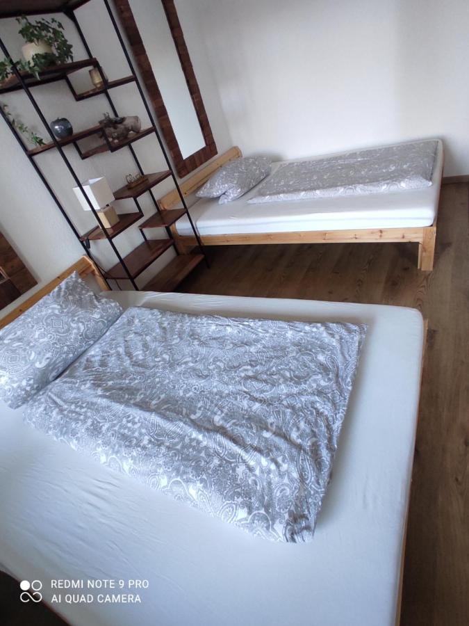 Apartment Panorama 施韦因福特 外观 照片
