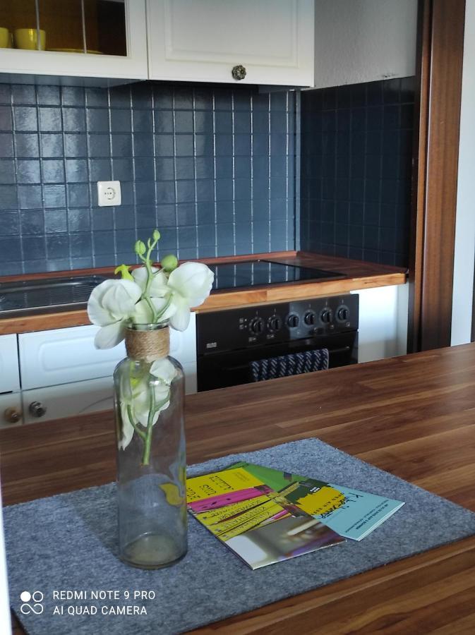 Apartment Panorama 施韦因福特 外观 照片