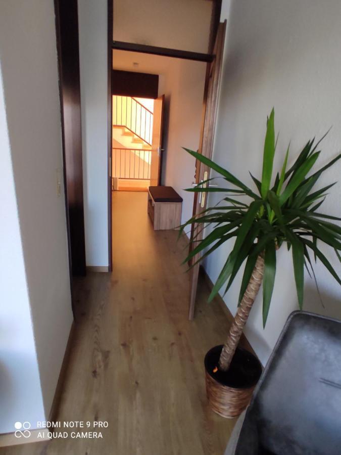 Apartment Panorama 施韦因福特 外观 照片